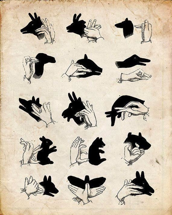 hand shadow puppets 